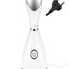 Skin Care Portable Professional Machine Personal Handheld Nano Ionic Face Sprayer Mini Custom Facial Steamer